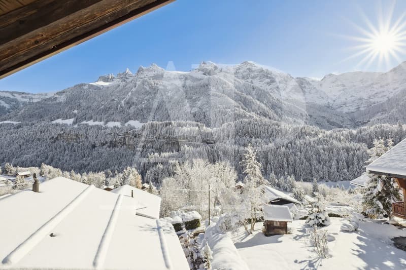 Chalet exceptionnel à vendre à Champéry (3)
