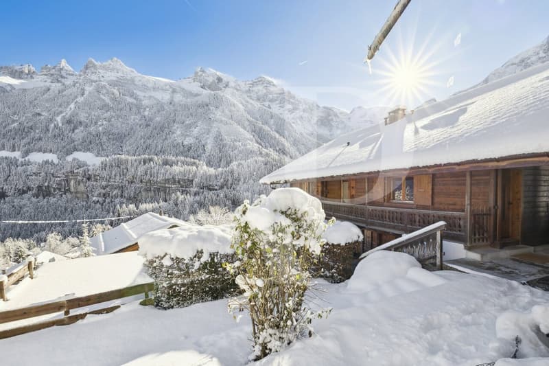 Chalet exceptionnel à vendre à Champéry (2)