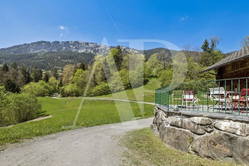 Chalet du XVIIIe Siècle à vendre à Champéry (5)