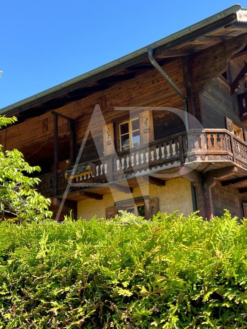Magnifique appartement 5,5 pièces au coeur de Champéry (6)