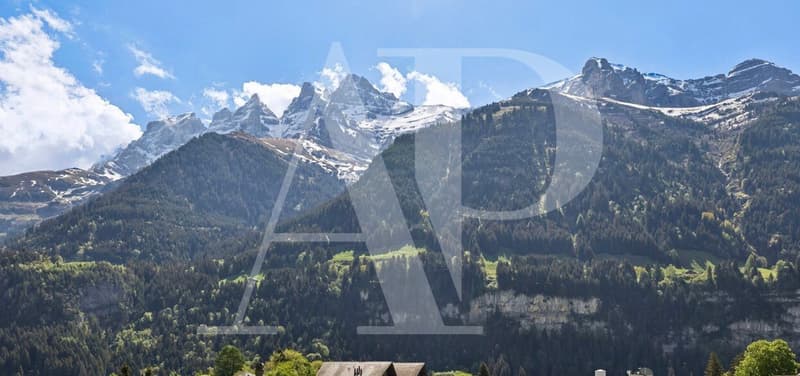 Magnifique appartement 5,5 pièces au coeur de Champéry (2)