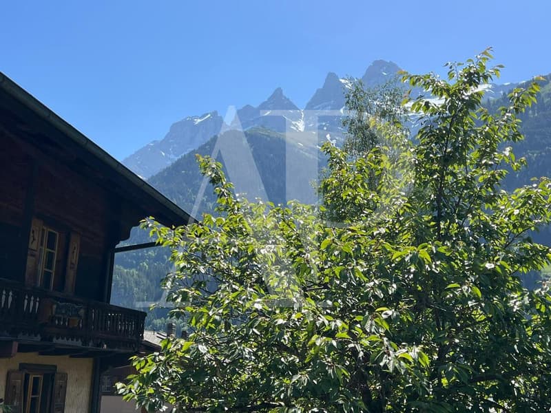 Magnifique appartement 5,5 pièces au coeur de Champéry (7)