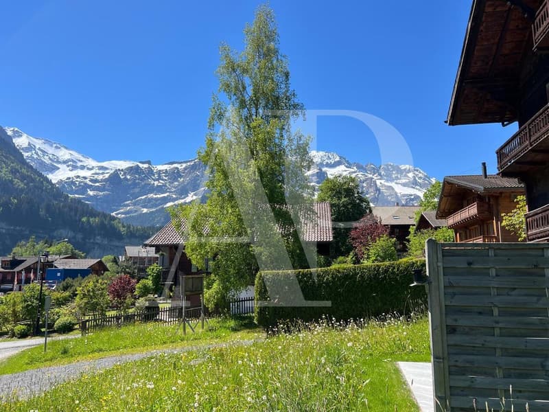 Magnifique chalet neuf sur plan au coeur de Champéry (6)
