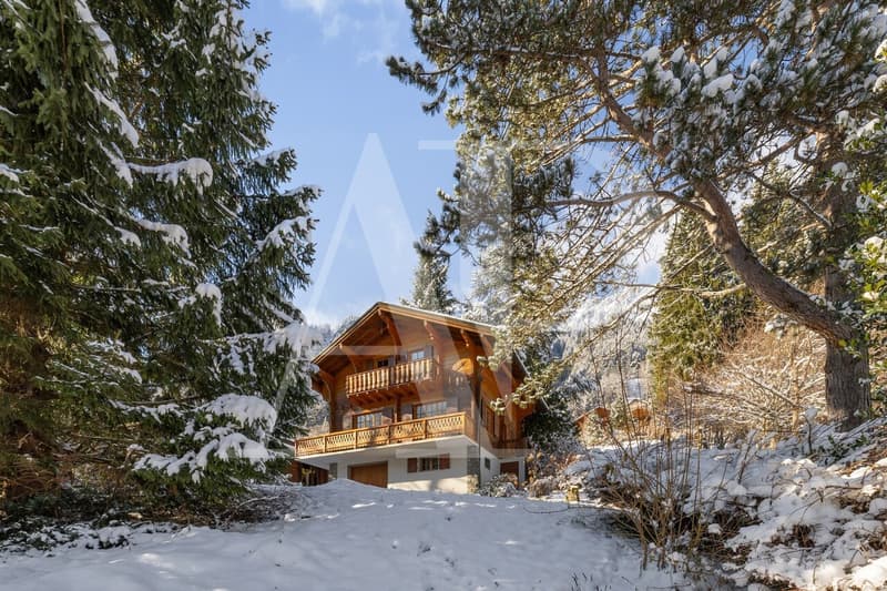 Chalet authentique à Champéry - 1'492 m² de terrain (8)