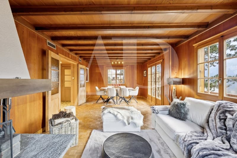 Chalet authentique à Champéry - 1'492 m² de terrain (3)