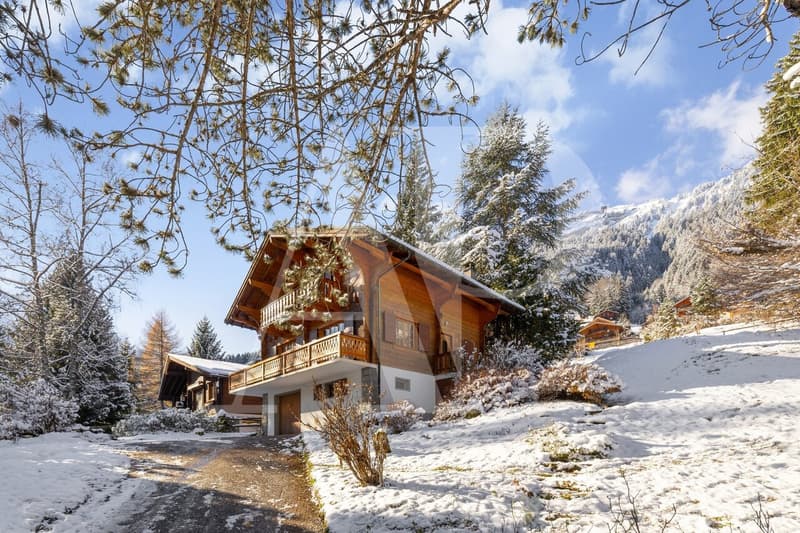 Chalet authentique à Champéry - 1'492 m² de terrain (11)