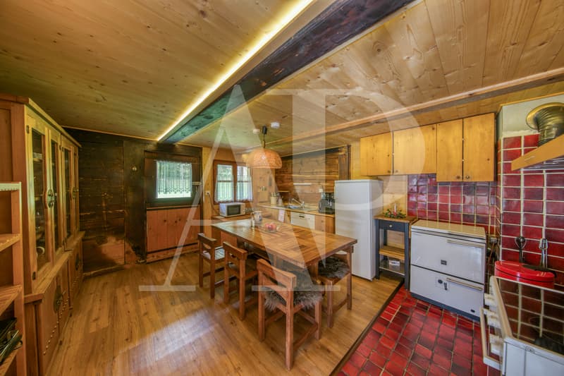 A VENDRE APPARTEMENT 5.5 PIECES  DANS UN CHALET AUTHENTIQUE (2)