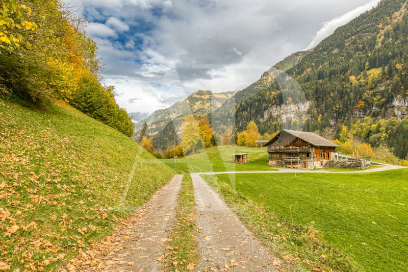 A VENDRE APPARTEMENT 5.5 PIECES  DANS UN CHALET AUTHENTIQUE (4)