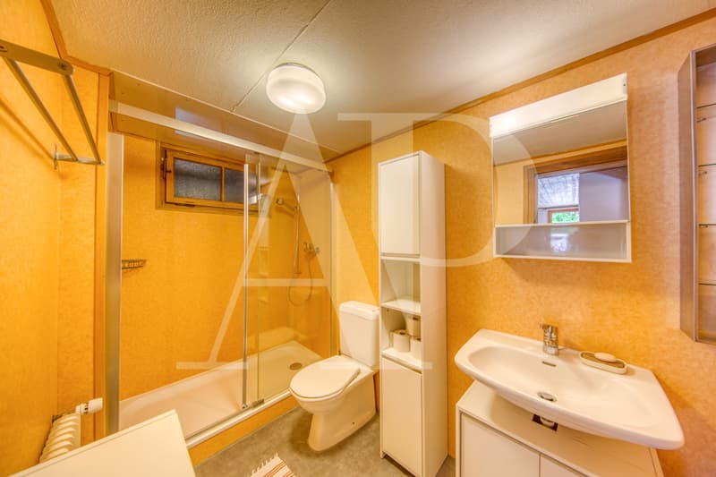 Appartement au charme d'antan au coeur de Champéry (10)