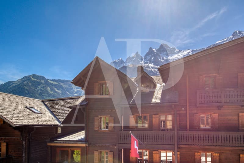 Appartement au charme d'antan au coeur de Champéry (12)