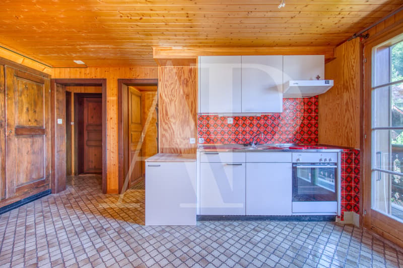 Appartement au charme d'antan au coeur de Champéry (2)