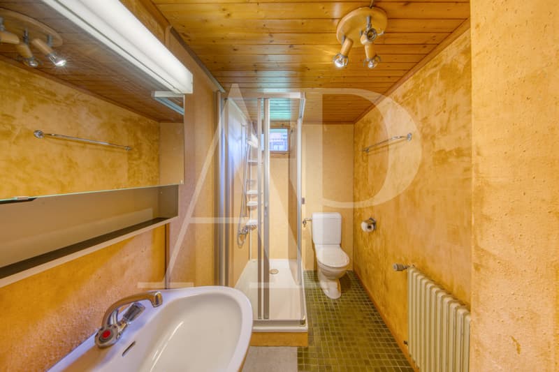 Appartement au charme d'antan au coeur de Champéry (7)