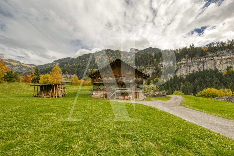 A VENDRE APPARTEMENT 5.5 PIECES DANS UN CHALET AUTHENTIQUE (5)