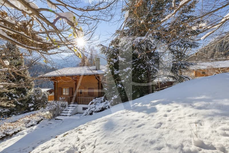 Chalet authentique à Champéry - 1'492 m² de terrain (10)