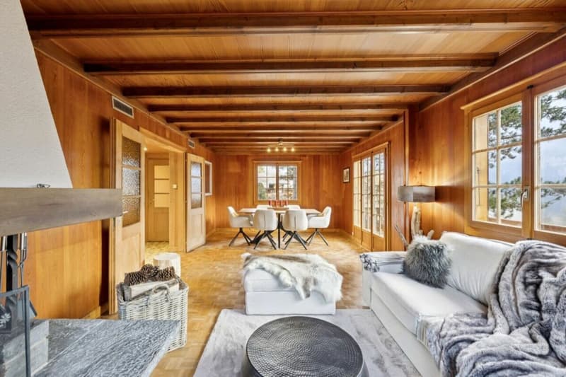 Chalet Entre Dents (1)
