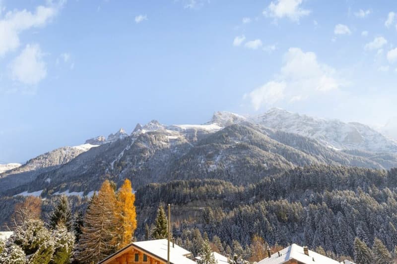 Chalet Entre Dents (9)