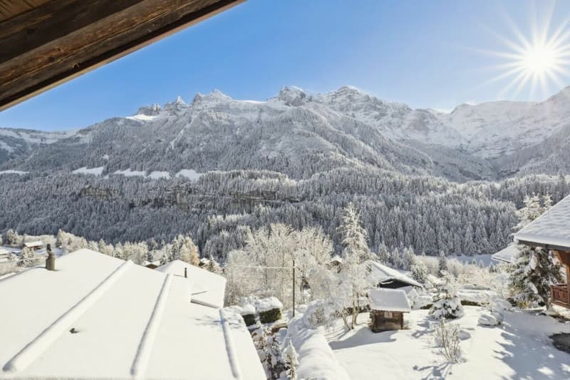 Vieux Chalet (5)
