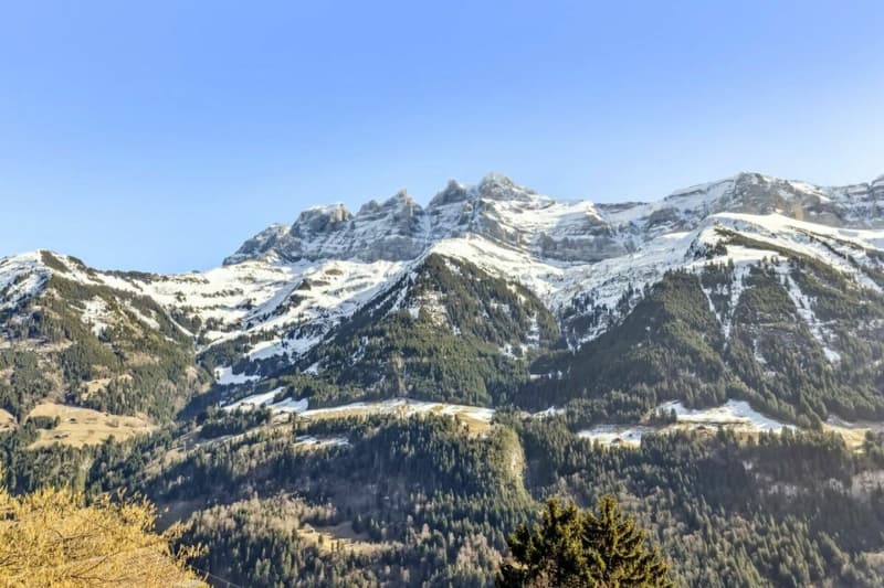 Chalet 4 Saisons (11)