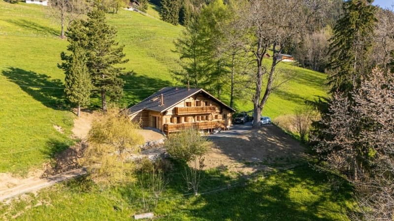 Chalet Plalessu (1)