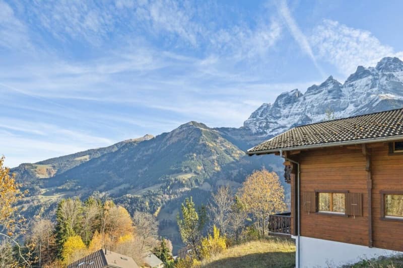 Chalet Perseides (6)