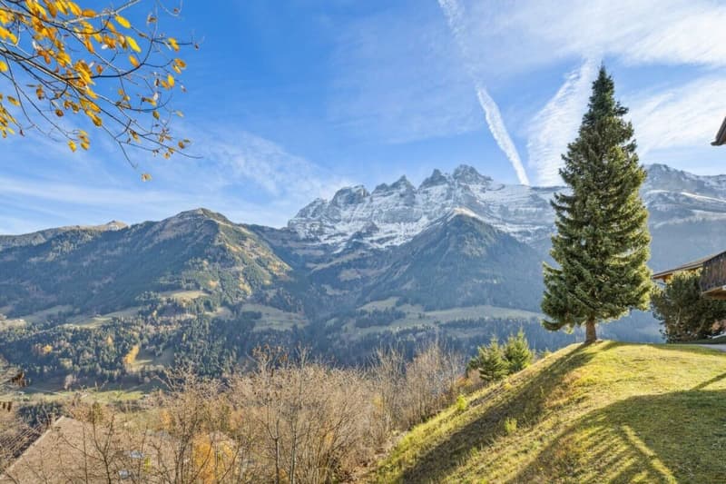 Chalet Perseides (9)