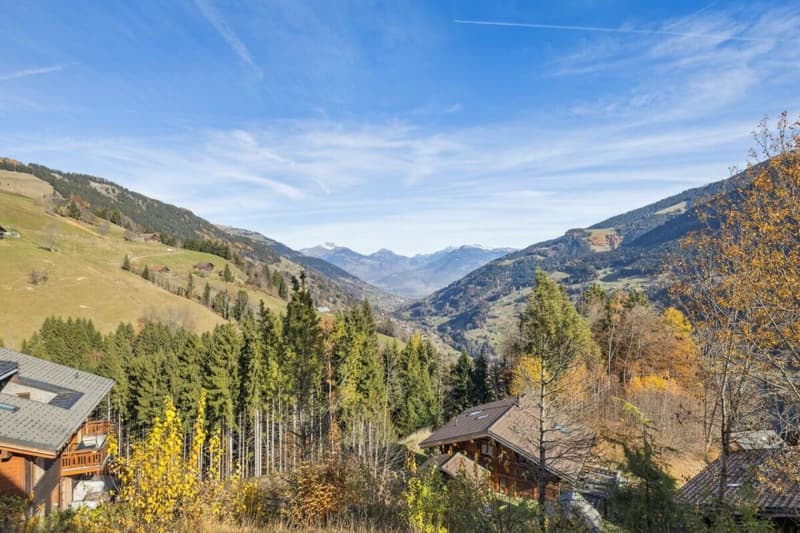 Chalet Perseides (10)
