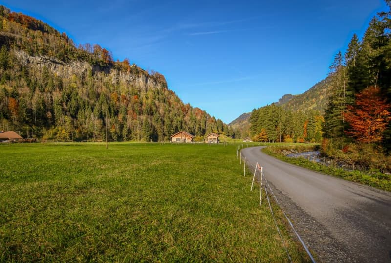 Die Ferme zu Marius (22)