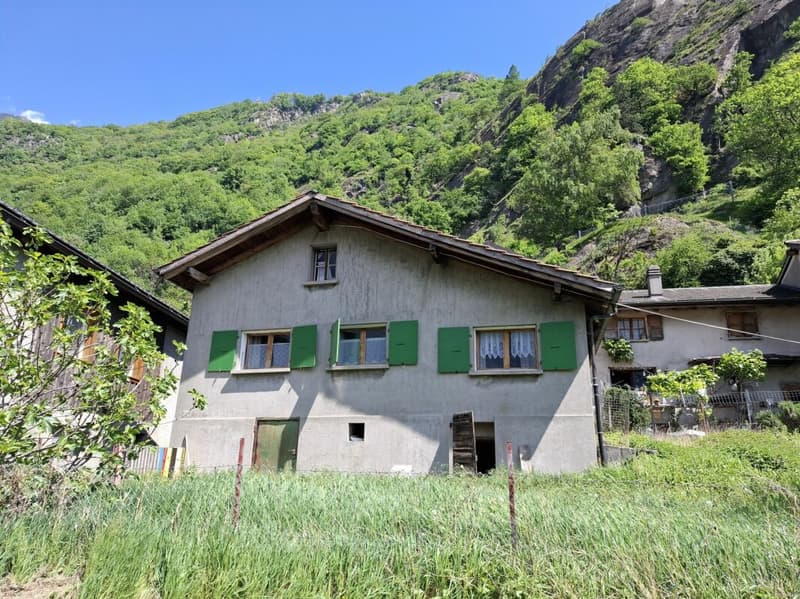 Baugrundstück mit zu renovierendem Dorfhaus (4)