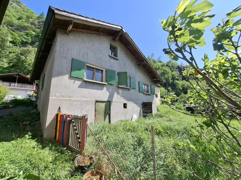 Baugrundstück mit zu renovierendem Dorfhaus (3)