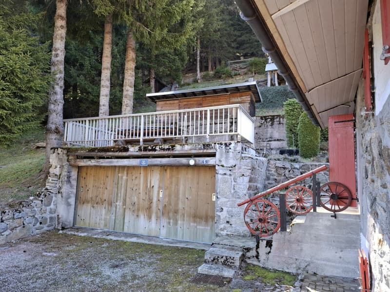Almhütte (9)