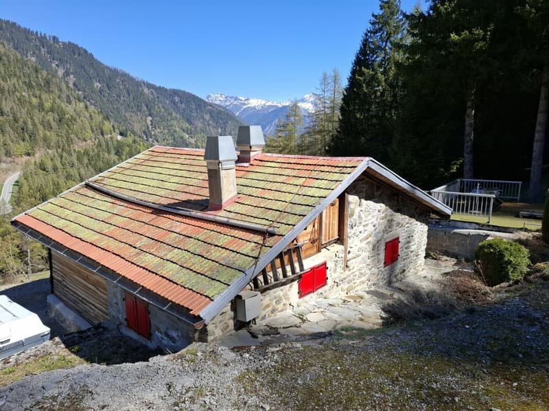 Almhütte (3)