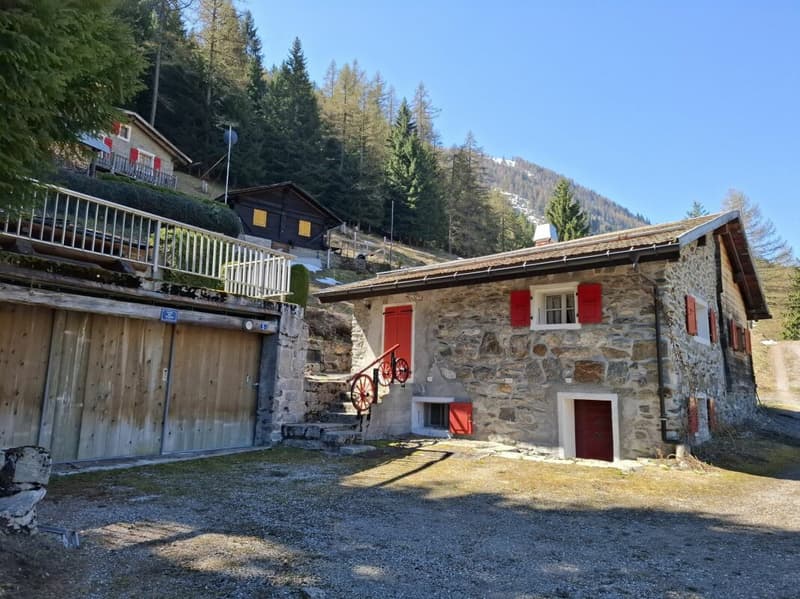 Almhütte (2)