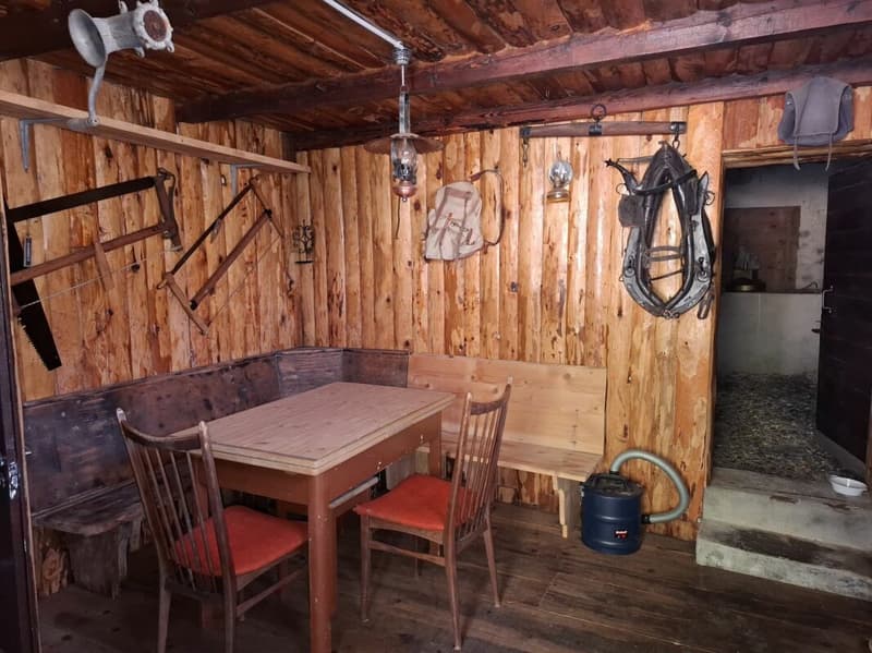Almhütte (8)