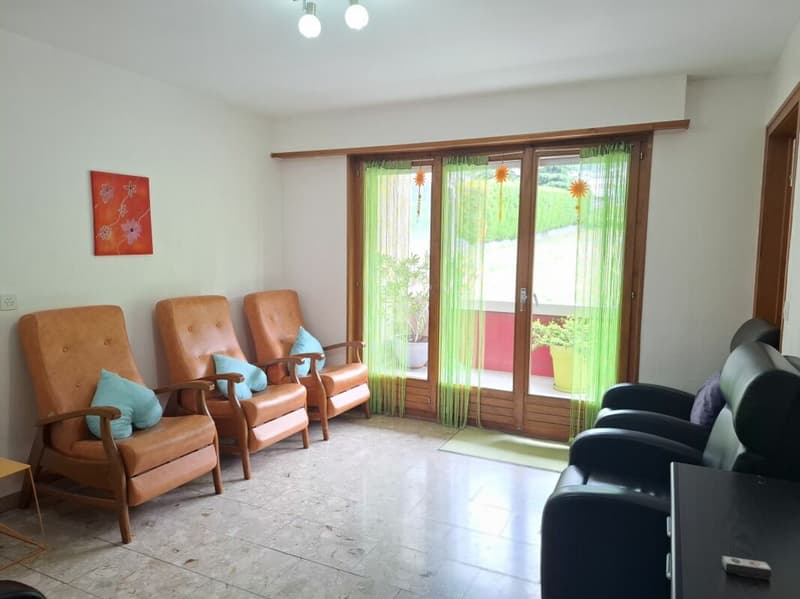 Lot de 2 appartements à Saxon (8)