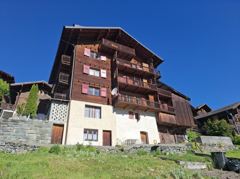 Apartment with panoramic view in Hérémence (VS) (1)