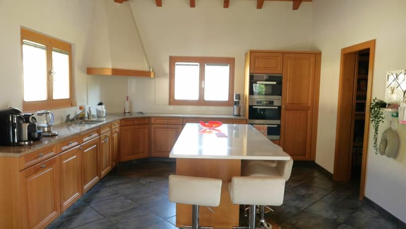 Villa contemporanea magnifica a Martigny (VS) (11)