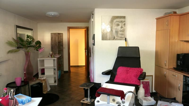Villa contemporanea magnifica a Martigny (VS) (15)