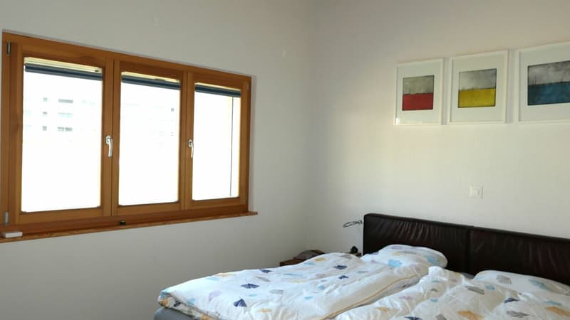 Villa contemporanea magnifica a Martigny (VS) (12)