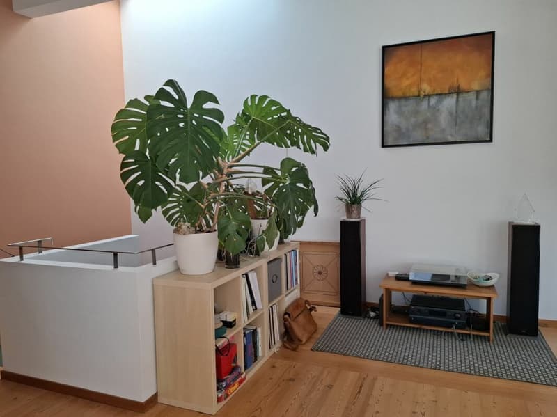 Duplex-Wohnung im Herzen von Martigny (6)