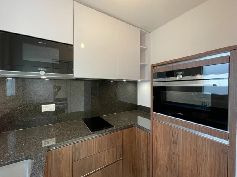 1.5 room apartment in Lausanne 25 (10)