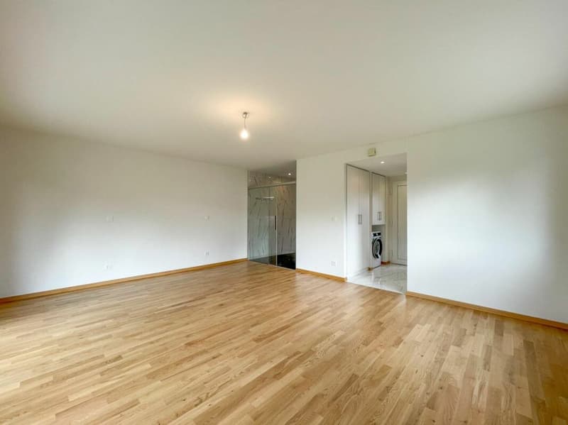 1.5 room apartment in Lausanne 25 (3)