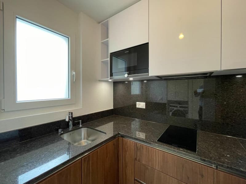 1.5 room apartment in Lausanne 25 (9)