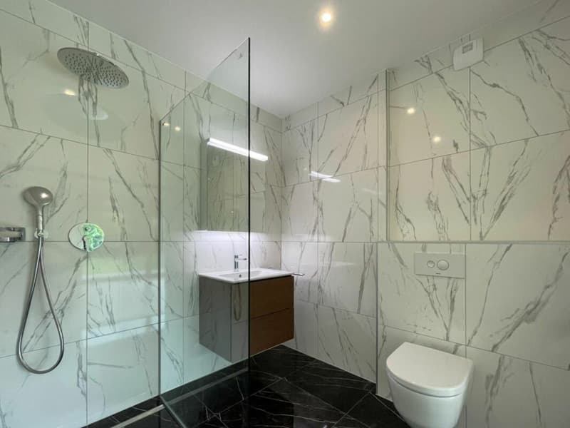 1.5 room apartment in Lausanne 25 (4)
