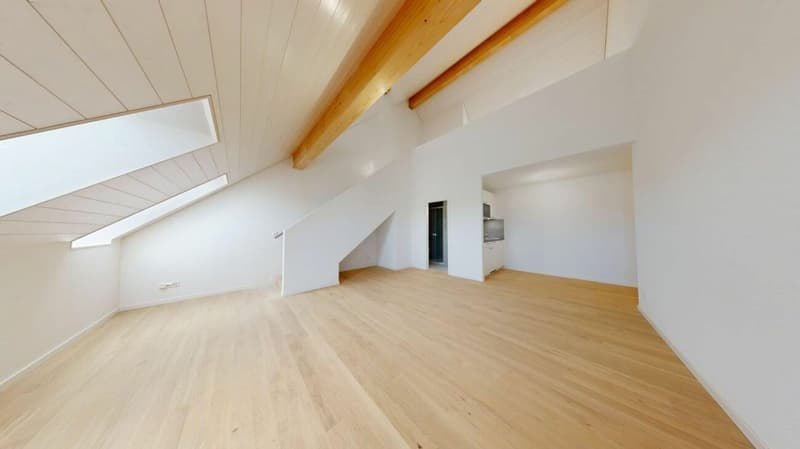 Surface of activities - lot 11 (4)