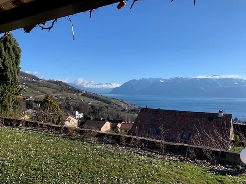 Charmannte Villa mit 6,5 Zimmern und Panoramablick auf den See und die Berge! (1)