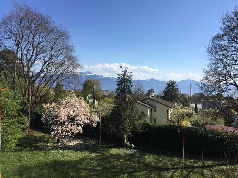 The image shows a scenic view of a residential area surrounded by trees and mountains. There are several houses and buildings visible, with a blooming tree in the foreground. The sky is clear and blue, creating a picturesque setting.