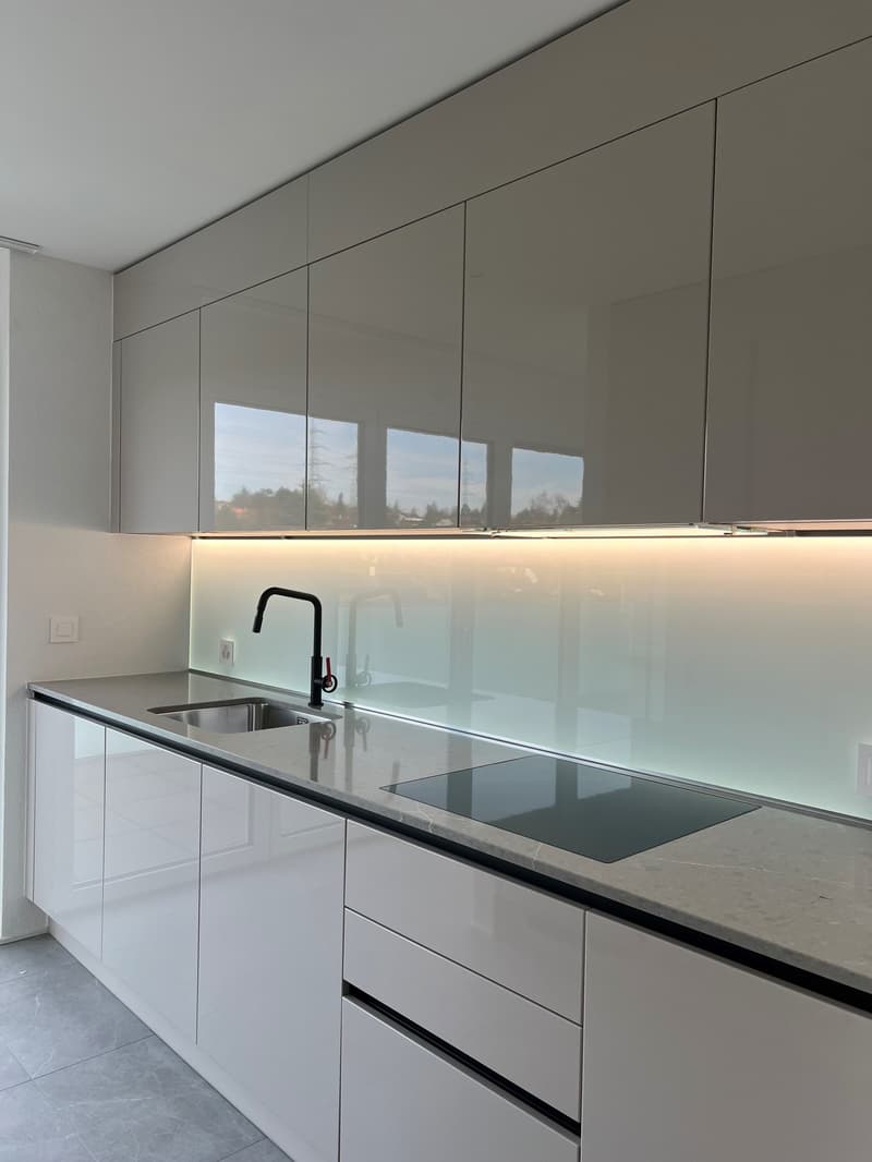 Magnificent 3.5-room apartment in Mont-sur-Lausanne (2)