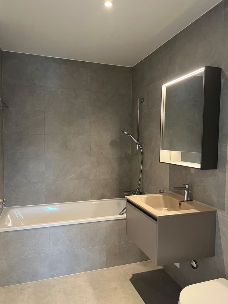Magnificent 3.5-room apartment in Mont-sur-Lausanne (8)