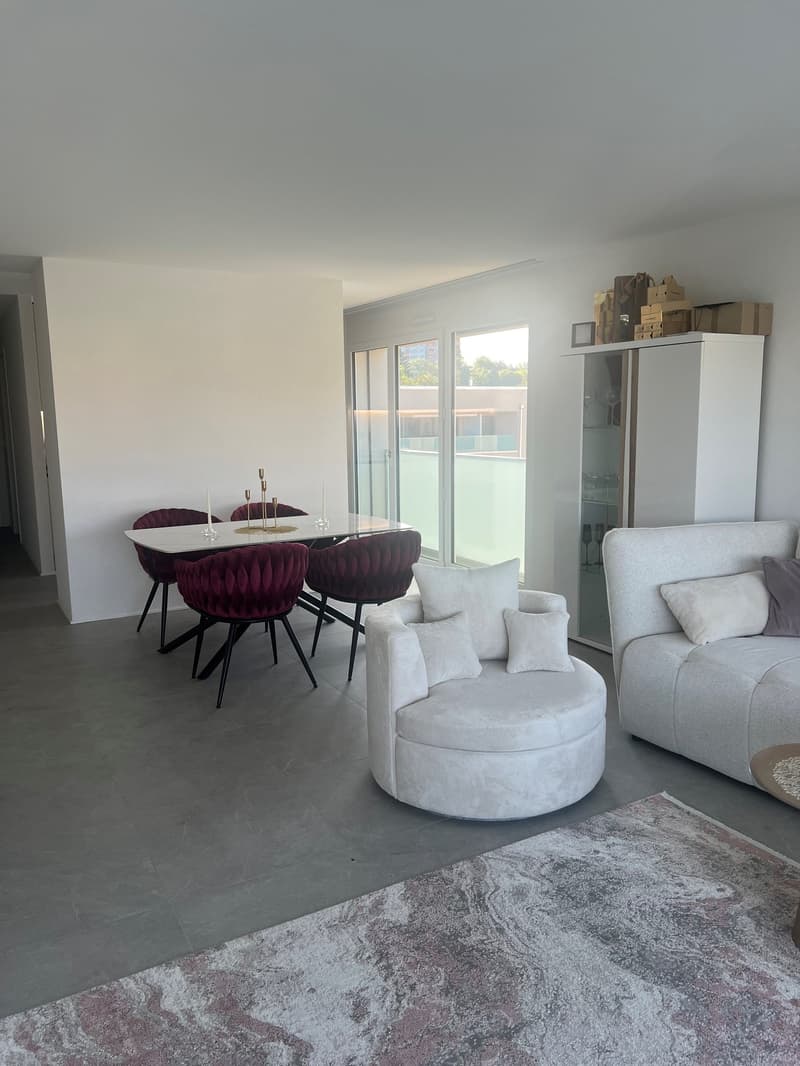 Magnificent 3.5-room apartment in Mont-sur-Lausanne (4)