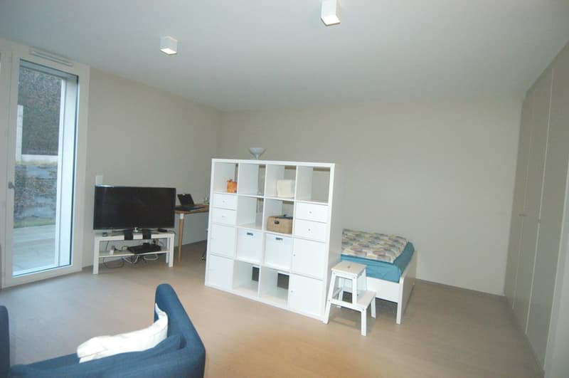 Appartement de 1.5 pièce à 2 minutes de l'EPFL et de l'université (2)